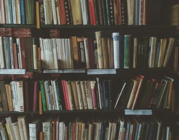 ¿Cómo deberías colocar los libros en la estantería de tu casa?