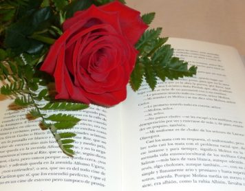 23 de abril, Día Internacional del Libro