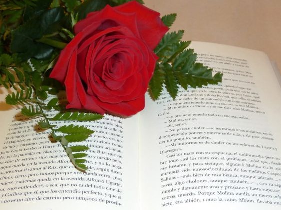 Regalar rosas y libros en el Día Internacional del Libro en Barcelona